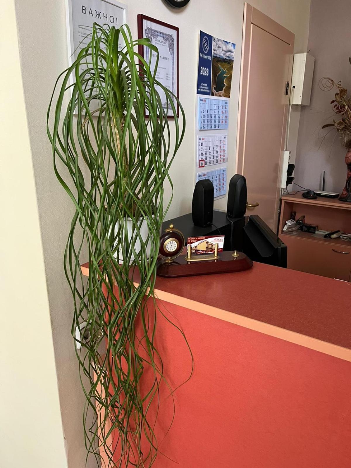 Hotel Kredo Sliven 외부 사진